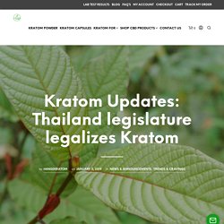 Kratom Updates: Thailand legislature legalizes Kratom - Craving Kratom