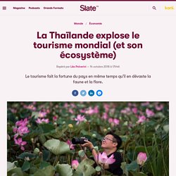 La Thaïlande explose le tourisme mondial (et son écosystème)