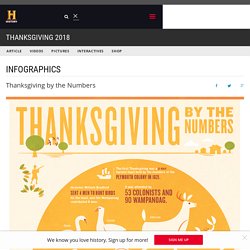 Thanksgiving Infographic
