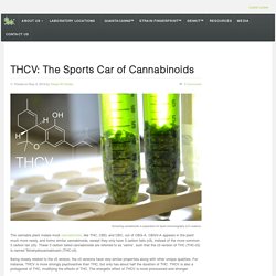 Steep Hill Halent: Cannabis Testing Laboratory