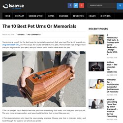 10 Best Pet Urns Or Memorials