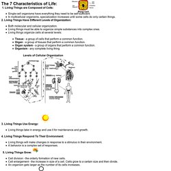 What are 7 characteristics of life