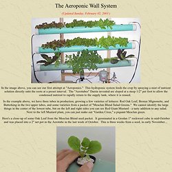 The Aeroponic Wall System