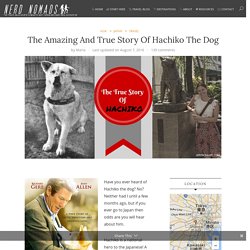 The Amazing And True Story Of Hachiko The Dog