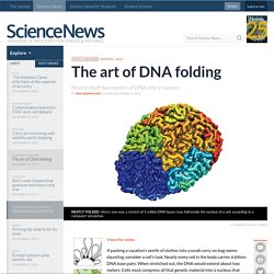 The art of DNA folding