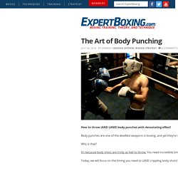 The Art of Body Punching
