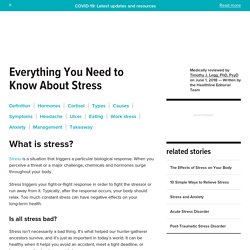 The Basics of Stress