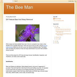 The Bee Man: DIY Natural Bee And Wasp Removal