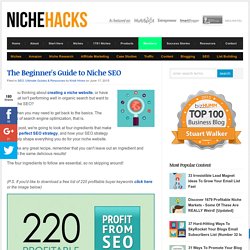 The Beginner's Guide to Niche SEO
