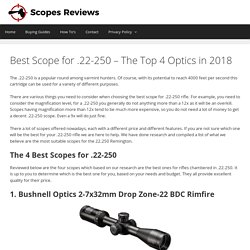 The 4 Best Scopes for 22-250 (2018 Updated)