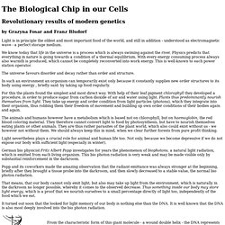 The Biological Chip in our Cells