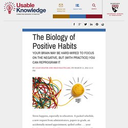 The Biology of Positive Habits