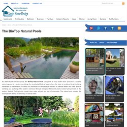The BioTop Natural Pools