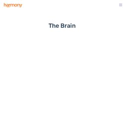 The Brain in 3D - Harmony
