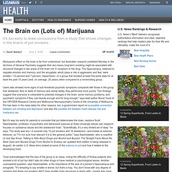 The Brain on Marijuana