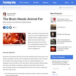 The Brain Needs Animal Fat