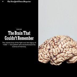 The Brain That Couldn’t Remember