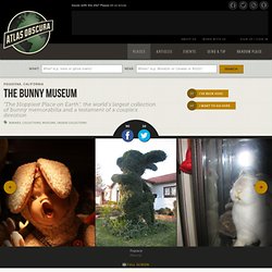 Bunny Museum