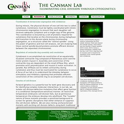 The Canman Lab — Research