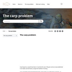 The Carp Problem