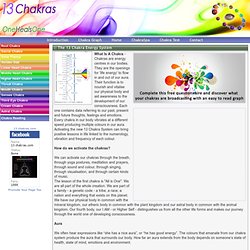 The 13 Chakra System