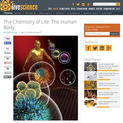 The Chemistry of Life: The Human Body