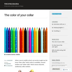The color of your collar – Truonghaiha