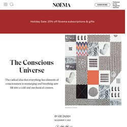 The Conscious Universe - NOEMA