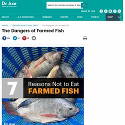 The Dangers of Farmed Fish