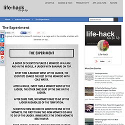 The Experiment ~ Life-Hack
