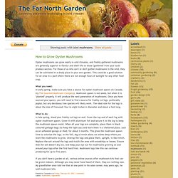 The Far North Garden: mushrooms