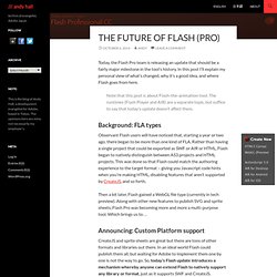 The Future of Flash (Pro)