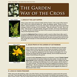 The Garden Way of the Cross