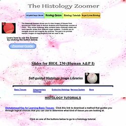 The Histology Zoomer Atlas