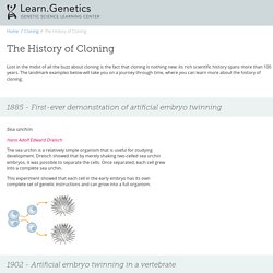 The History of Cloning
