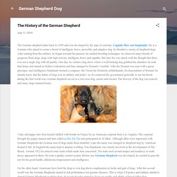 The History of the German Shepherd