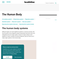 Human Body Maps