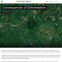 MONGABAY 01/04/19 Consequences of Deforestation