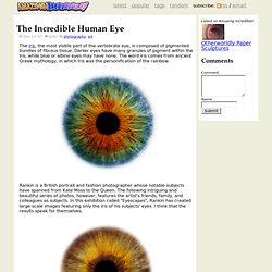 The Incredible Human Eye