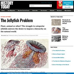 The Jellyfish Problem
