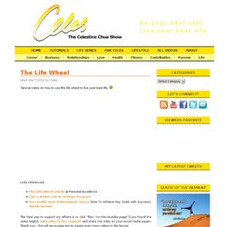 The Life Wheel