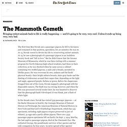 the-mammoth-cometh