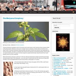 The Marijuana Conspiracy