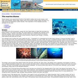 The marine biome