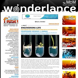 .The MDM . Wonderlance.