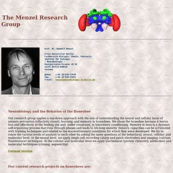 The Menzel Research Group