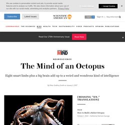 The Mind of an Octopus