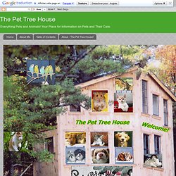 The Pet Tree House