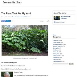 The Plant That Ate My Yard