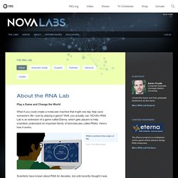 About the RNA Lab